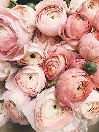 The spring wedding season is coming closer and closer, and it's high time to make some last preparations. May Wedding Flowers Beautiful Blooms For Your Spring Wedding Confetti