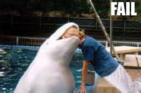 Fun, humor, laughter, funny, fails! 20 Most Funniest Animal Fail Pictures That Make You Laugh