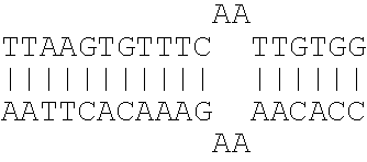 From wikimedia commons, the free media repository. Us7217807b2 Bioinformatically Detectable Group Of Novel Hiv Regulatory Genes And Uses Thereof Google Patents
