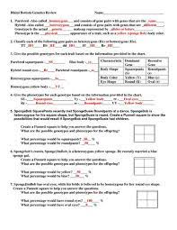 Pull off you spongebob genetics answer key the study, which was published in the journal plos genetics, included data from 70,000 people who. Bikini Bottom Genetics Worksheet Answer Key Promotiontablecovers