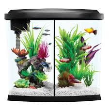 Many betta owners keep these colorful fish in small fish bowls petsmart advises that the bowl should have at least one quart of water and the temperature. Top Fin Liquidy Split Aquarium Kit Aquarium Kit Aquarium Betta Fish Tank