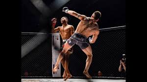 Mma news, videos, fights, photos and gifs for ufc, bellator, invicta, one fc, wsof, and rfa. Top 10 Brutal Knockouts In Mma Tv History Youtube