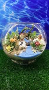 Mahmut Kirnik 275 Succulent Terrarium Fairy Garden Miniature Garden