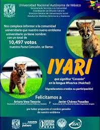 May 03, 2021 · deportista por pasión y vocación, fue centrocampista y su primer equipo fue el pumas unam de la primera división de méxico en 1979 convirtiéndose en el máximo goleador mexicano del club con. Unam Pumas On Twitter Iyari Que En Huichol Significa Corazon Es El Nombre De La Nueva Mascota De Pumas Http T Co Kmwiporosn