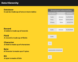 Data Hierarchy 101 Its All About Data Again And We Move By Kofi Amanfo Ii We Are Orb Medium