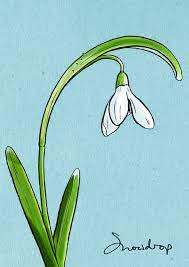 The Wild Flower Calendar Caught By The River Flower Drawing Floral Drawing Flower Art