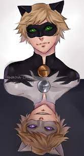 Starkness Chat Blanc X Reader Pt 2 The Hard Truth Miraculous Ladybug Fanfiction Miraculous Ladybug Comic Miraculous Ladybug Memes