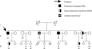 Novel Gch1 Variant In Dopa Responsive Dystonia And Parkinson S Disease Sciencedirect