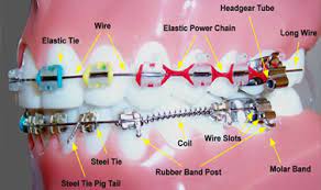 We did not find results for: 1 Orthodontist Sandton South Africa Orthodontics Gauteng
