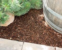 Ein eventuell bereits vorhandener rasen muss nicht ausgegraben werden. Ob Bodendeckerpflanzen Rindenmulch Oder Kiesbeet Anlegen Native Plants