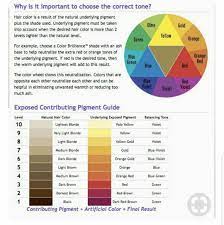 Pin On Color Trends