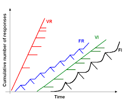 reinforcement in operant conditioning psychology wiki