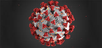 Image result for coroanvirus
