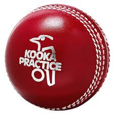 The souvenir cricket ball for cricket lovers around the world. Kookaburra Kooka Practice Cricket Ball 142 Grams Mike Pawley Sports