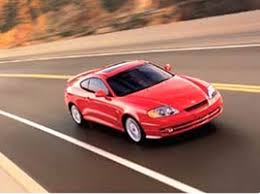 Image result for Hazelnut 2004 Tiburon