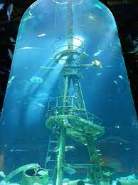 Hours may change under current circumstances Images Officials Unveil New Details For Museum Aquarium At Bass Pro Shops Ksmu Radio