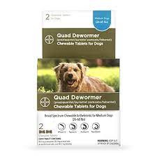 Buy Bayer Chewable Quad Dewormer For Medium Dogs 26 60 Lbs 2 Chewable Tablets Online In Indonesia B0722gk7dc