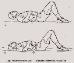 Pin On Exercises