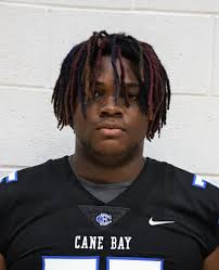 Woodland, James Island, Summerville players lead All-Lowcountry football  team