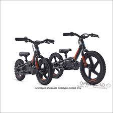 Open Road Harley Davidson Kids Harley Davidson Stacyc Stability Cycle Irone