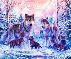 We did not find results for: Anime Wolfe Posts Facebook