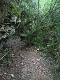 Larina, huit des gorges de verbois, le 17.09.08 par sanfroic