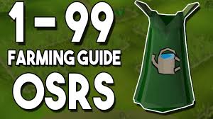 Farming pet chance?, what can i do to maximize my chance at getting the pet through farming on my ironman. 1 99 Farming Guide Osrs Rscomparison
