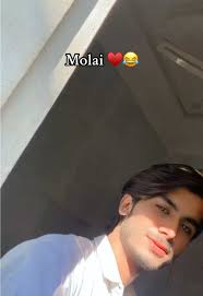 Hali Acho: A Fun Moment Shared by Sindh Artists