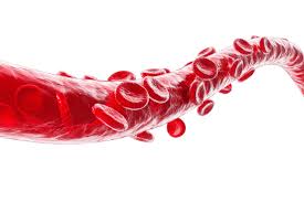 Vascular Pathophysiology