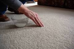 Image result for good carpet cleaning solution