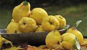 Traditional Serbian Sweet Quince Balkan Food Recipes Recipe Quince Fruit Quince Food
