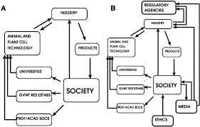 The biotransformation of biological compounds such as terpenoids or steroids is possible using plant cells. Animal And Plant Cell Technology A Critical Evaluation Of The Technology Society Interface Sciencedirect
