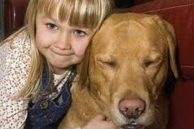 Angus is reunited with his owners after two years