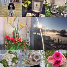 Maybe you would like to learn more about one of these? Four Seasons Flowers Home Facebook