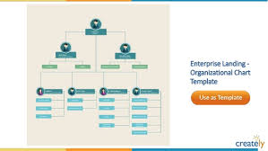 organizational chart templates by creately