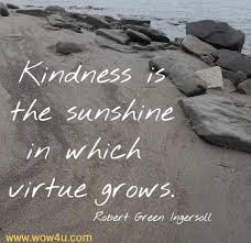 These are but trifles, to be sure; 54 Sunshine Quotes Inspirational Words Of Wisdom