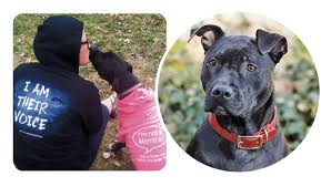 Star Dog Winner Ruckus And Dogs Loveable Modern Dog