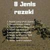Kisah ini mencontohkan bagaimana seorang muslim hendaknya selalu yakin dengan pertolongan allah taala, yakin bahwa allah taala adalah maha pemberi rezeki. Https Encrypted Tbn0 Gstatic Com Images Q Tbn And9gcst0ms0tj6zfnqsrcvncn8pfu09s Mbsov58u90ofc Usqp Cau