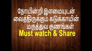 Terminalia Chebula Betalnut Padikaram Benefits Youtube படிகார கல்லின் பயன்கள் in tamil /. youtube