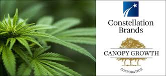 Check spelling or type a new query. Constellation Brands Financial Cushion Into The Cannabis Market Cannabis News And Culture Magazine The Emerald Media