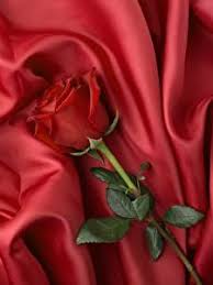 Image result for ?????????????? ??????????????? ??????????? ??????????????   ?? ????????????