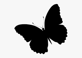 Download Butterfly Flying Png Transparent Images Butterfly Silhouette Png Download Kindpng