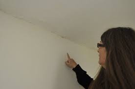 Upload photos and attach them to an email. Bed Bugs A Pest In Madison County Local News Heraldbulletin Com