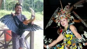 Macan tutul jawa ini sudah lama diklasifikasikan ke dalam satwa yang terancam punah atau hewan langka. Konsumsi Burung Langka Pria Ini Jadi Buruan Publik Dunia Maya Tribunnews Com Mobile