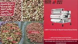 AMD Sortex(P-LGS4) Peanut Seeds Color Sorter Machine Price for Groundnuts  Kernel Sorting