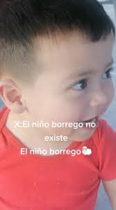 Niño Con Borrego