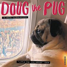 Discover and share the best gifs on tenor. Doug The Pug 2020 Wall Calendar Dog Breed Calendar Mosier Leslie 0709786050444 Amazon Com Books