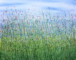 Maybe you would like to learn more about one of these? Where Wild Flowers Sing Painting By Lucy Moore Artmajeur