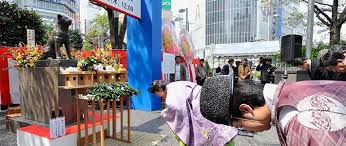 Comment enterrer son chien ? Au Japon Les Chiens Et Les Chats Peuvent Ils Aller Au Paradis Nippon Com Infos Sur Le Japon