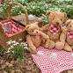 Teddy Bear Picnic